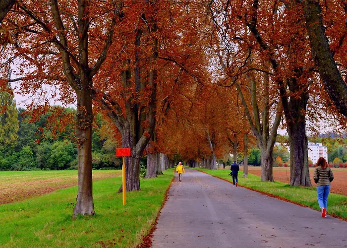Sonne Szálloda Bad Homburg vor der Höhe